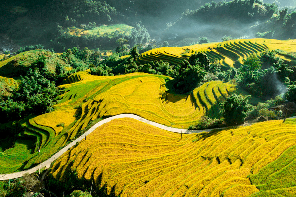 Autumn in Vietnam offers cooler weather and golden northern fields—ideal for trekking and photography.